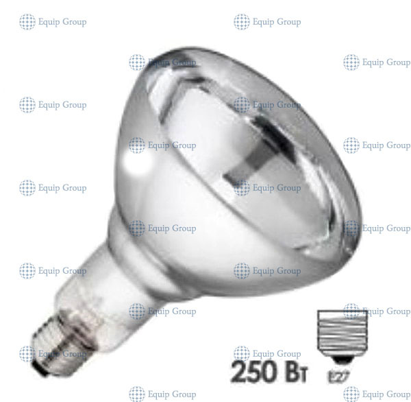 mini5d36c671-bc03-427a-93ad-a2456d4d934c